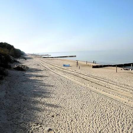 Near The Baltic Sea